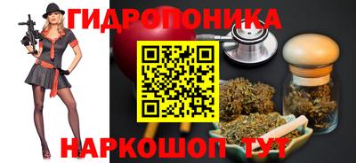 jwh Нальчик