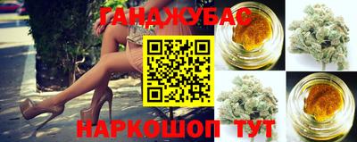 jwh Нальчик