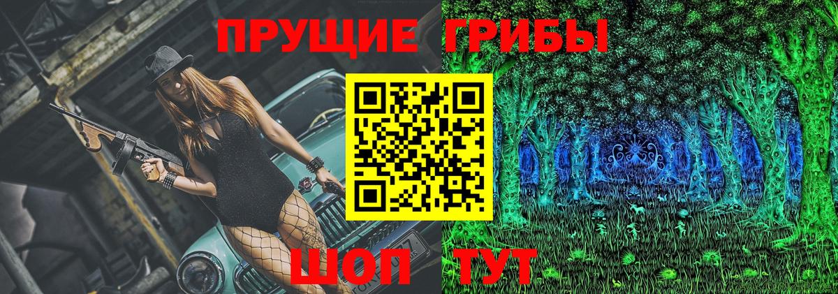 Галлюциногенные грибы Psilocybe Ступино